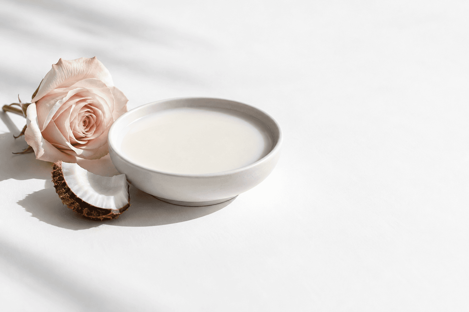 A shallow white dish of coconut milk beside a piece of coconut shell and a pale blush rose on a white surface.
