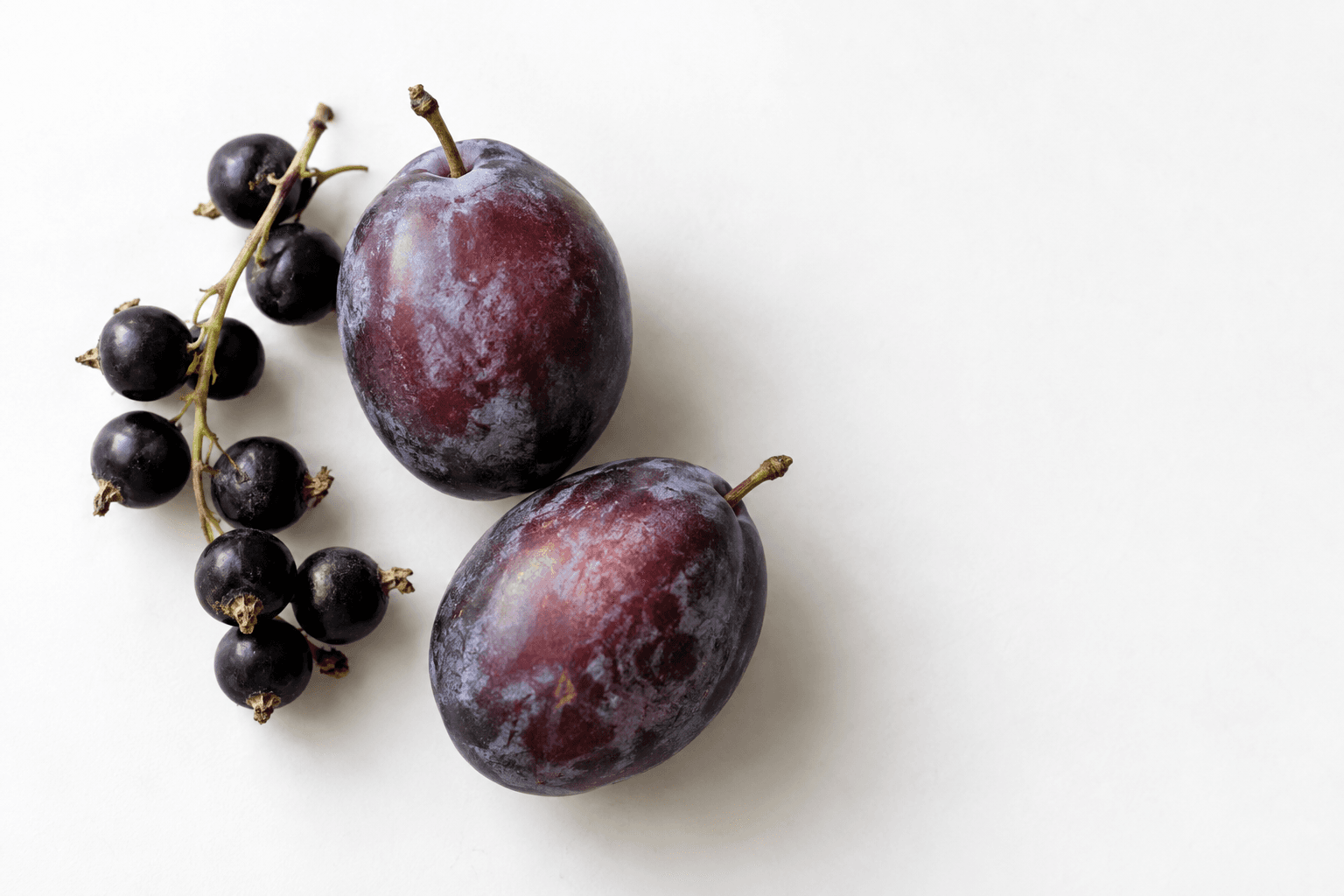 Purple plum skins with pale bloom beside glossy black currants.