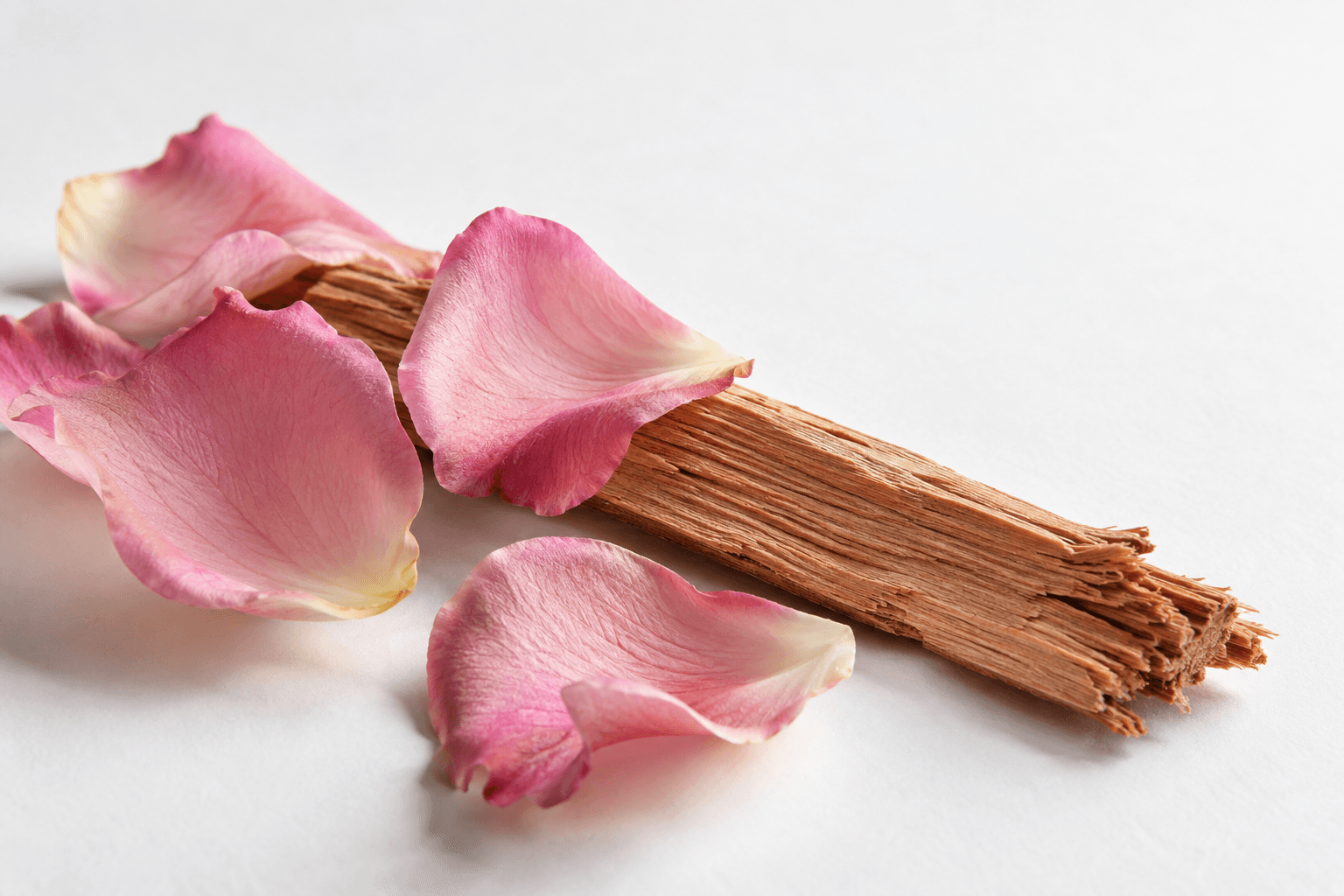 Veined pink rose petals with pale edges rest around a long piece of dry, split wood on a white surface.